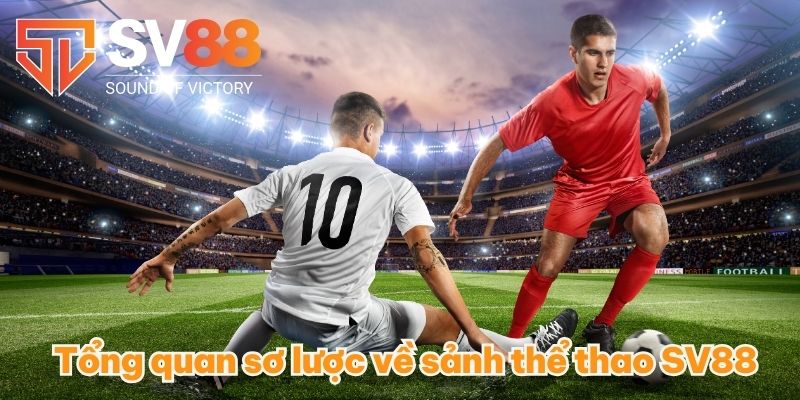 Tổng quan sơ lược về sảnh thể thao SV88