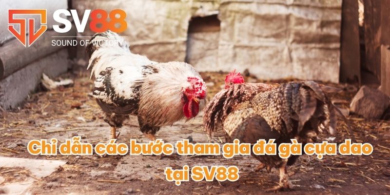 Đá Gà Cựa Dao - Thu Nhập Đã Cực Với Các Trận Cược Đá Gà 4 Chỉ dẫn các bước tham gia đá gà cựa dao tại SV88